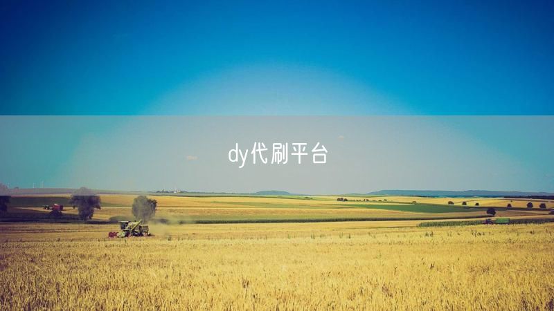 dy代刷平台