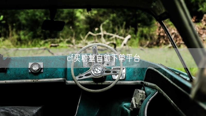cf买粉丝自助下单平台