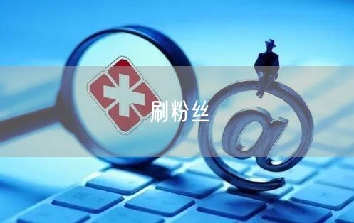 刷粉丝