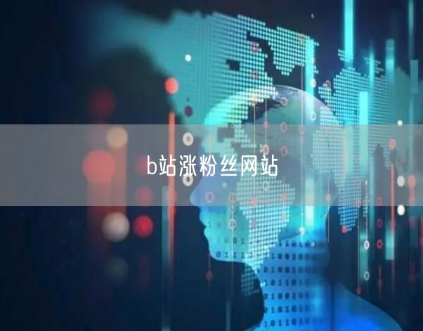 b站涨粉丝网站