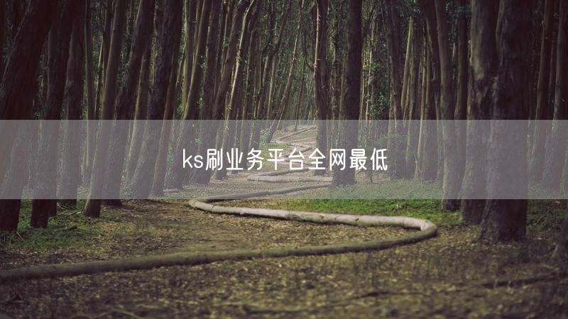 ks刷业务平台全网最低