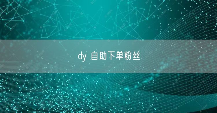 dy 自助下单粉丝