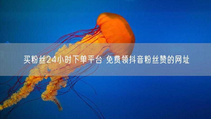 买粉丝24小时下单平台 免费领抖音粉丝赞的网址