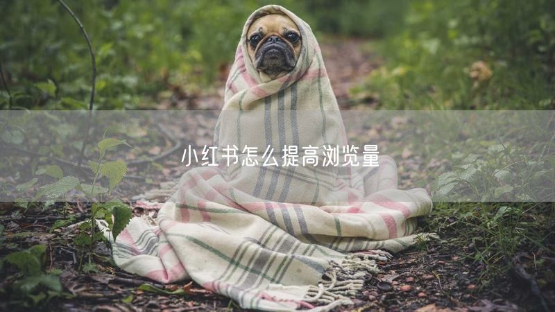 小红书怎么提高浏览量