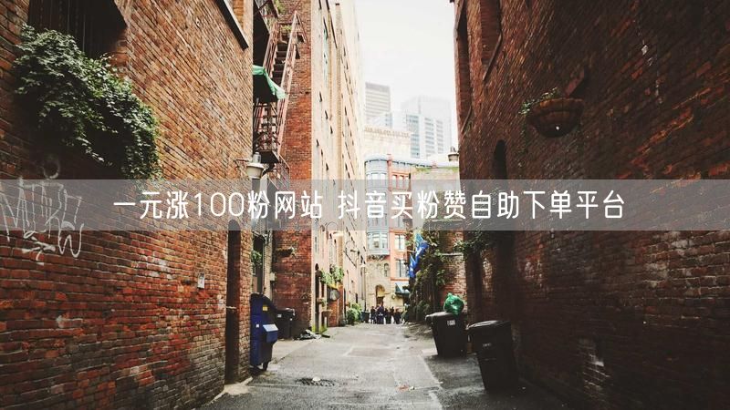 一元涨100粉网站 抖音买粉赞自助下单平台