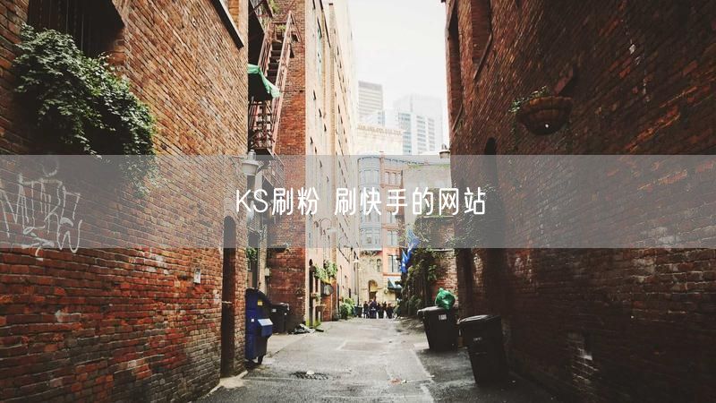 KS刷粉 刷快手的网站