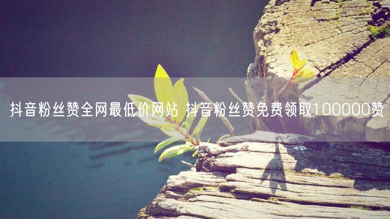 抖音粉丝赞全网最低价网站 抖音粉丝赞免费领取100000赞