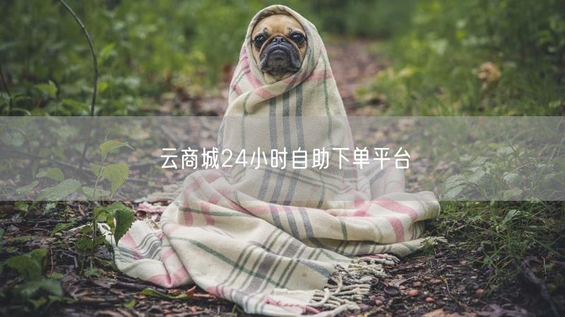 云商城24小时自助下单平台