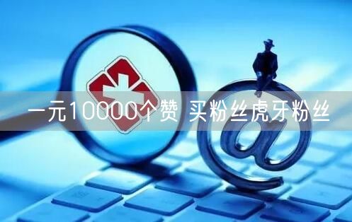 一元10000个赞 买粉丝虎牙粉丝