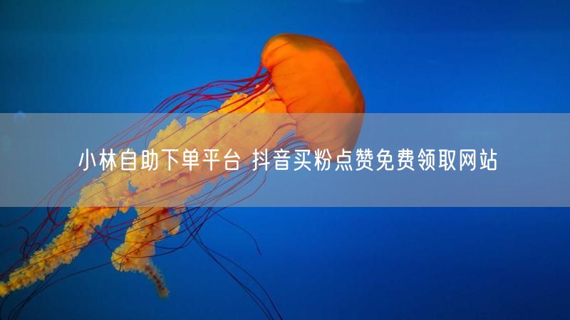 小林自助下单平台 抖音买粉点赞免费领取网站