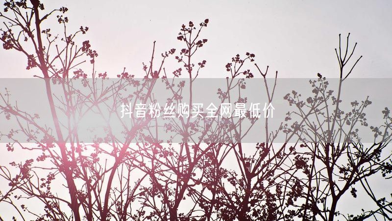 抖音粉丝购买全网最低价