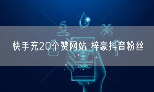 快手充20个赞网站 梓豪抖音粉丝
