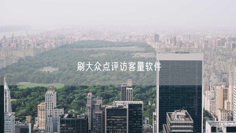 刷大众点评访客量软件