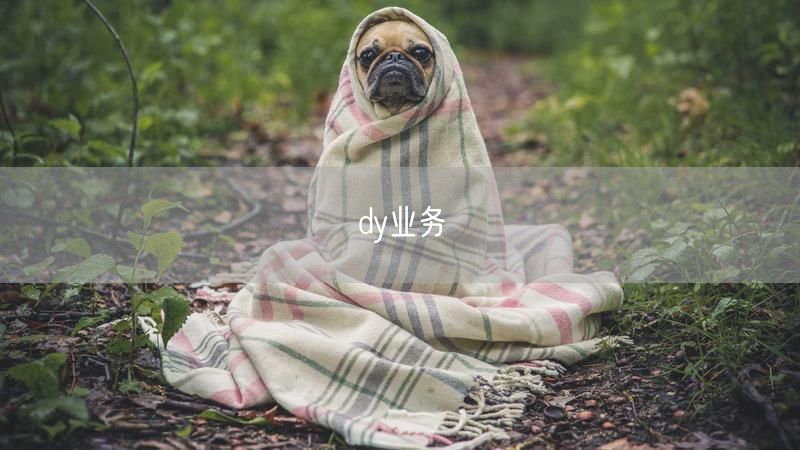dy业务