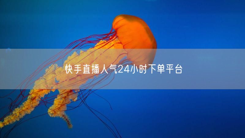 快手直播人气24小时下单平台