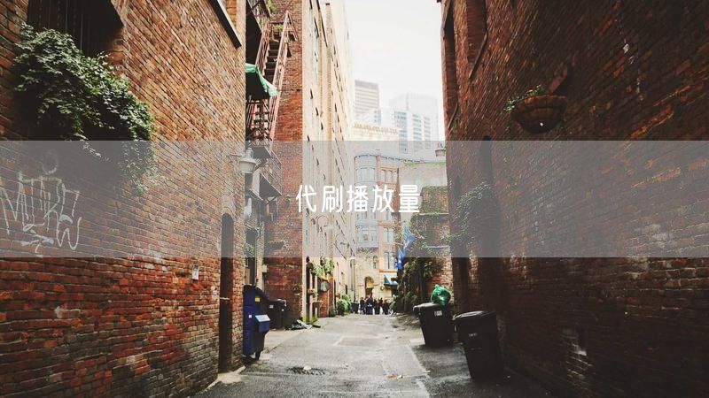 代刷播放量