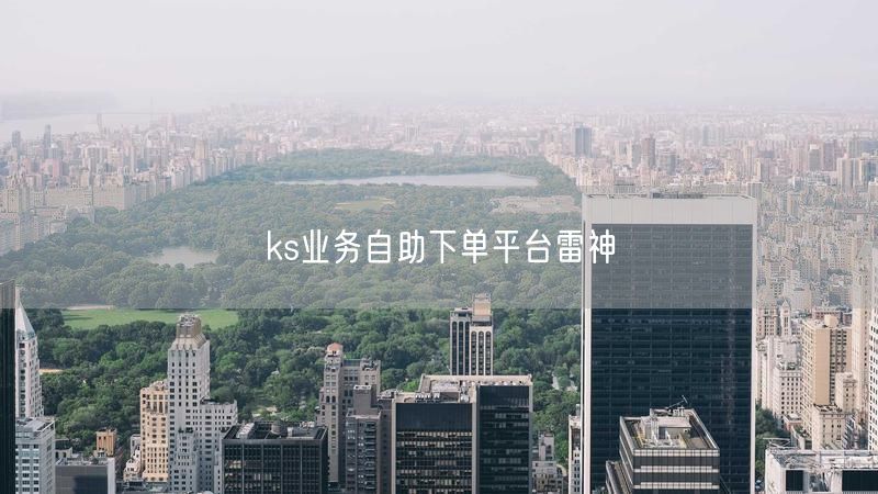 ks业务自助下单平台雷神