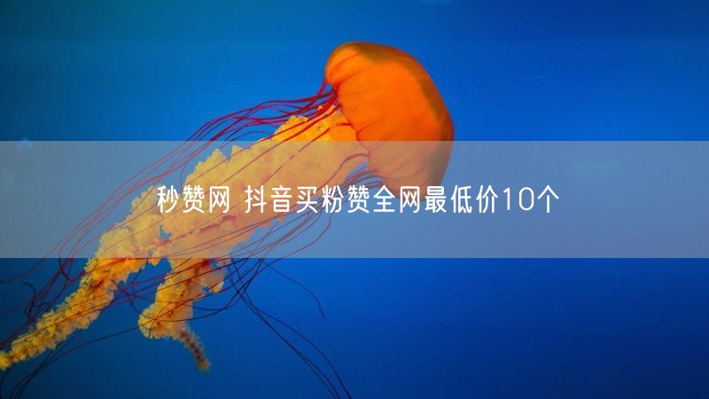 秒赞网 抖音买粉赞全网最低价10个
