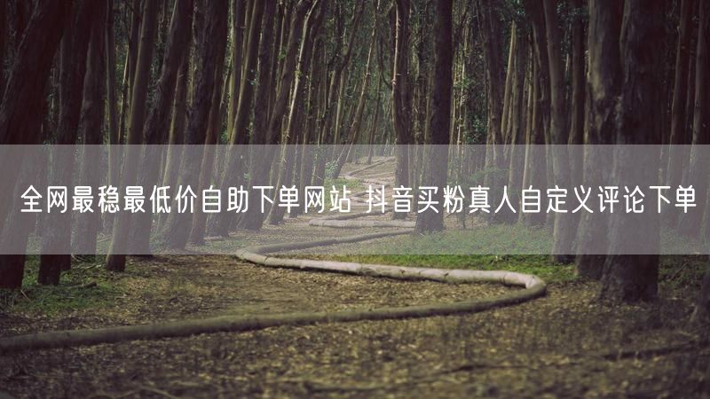 全网最稳最低价自助下单网站 抖音买粉真人自定义评论下单