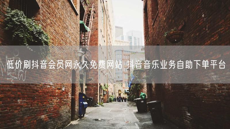 低价刷抖音会员网永久免费网站 抖音音乐业务自助下单平台