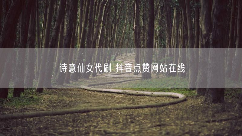 诗意仙女代刷 抖音点赞网站在线