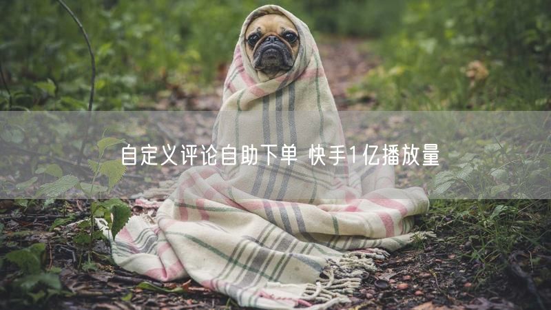 自定义评论自助下单 快手1亿播放量