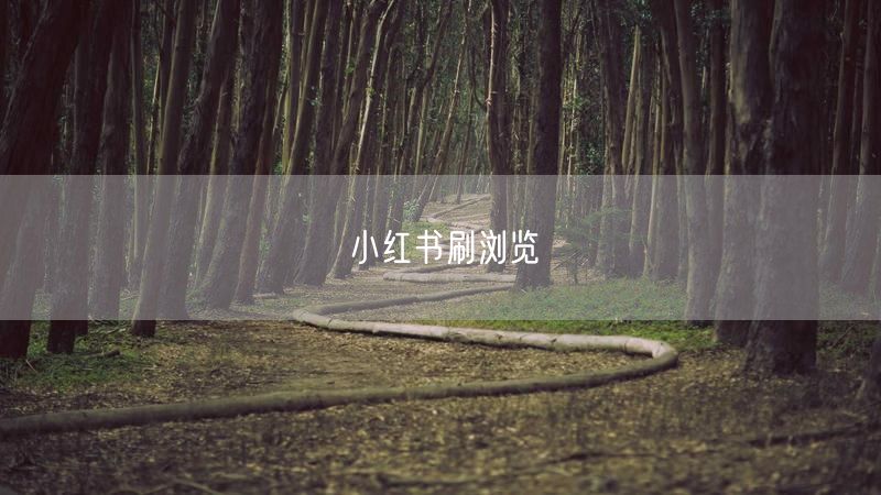 小红书刷浏览