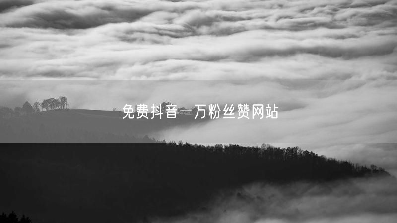 免费抖音一万粉丝赞网站