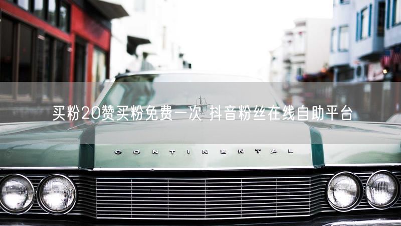 买粉20赞买粉免费一次 抖音粉丝在线自助平台