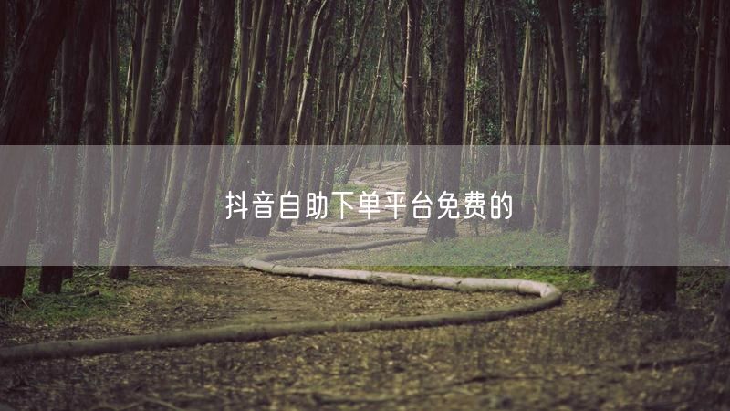 抖音自助下单平台免费的