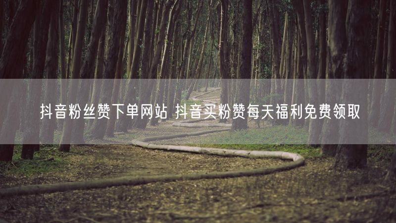 抖音粉丝赞下单网站 抖音买粉赞每天福利免费领取