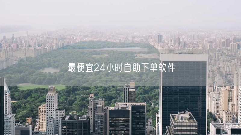 最便宜24小时自助下单软件