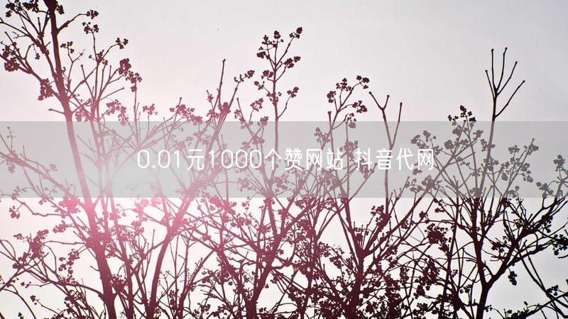 0.01元1000个赞网站 抖音代网