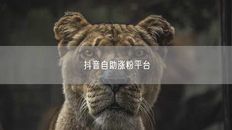 抖音自助涨粉平台