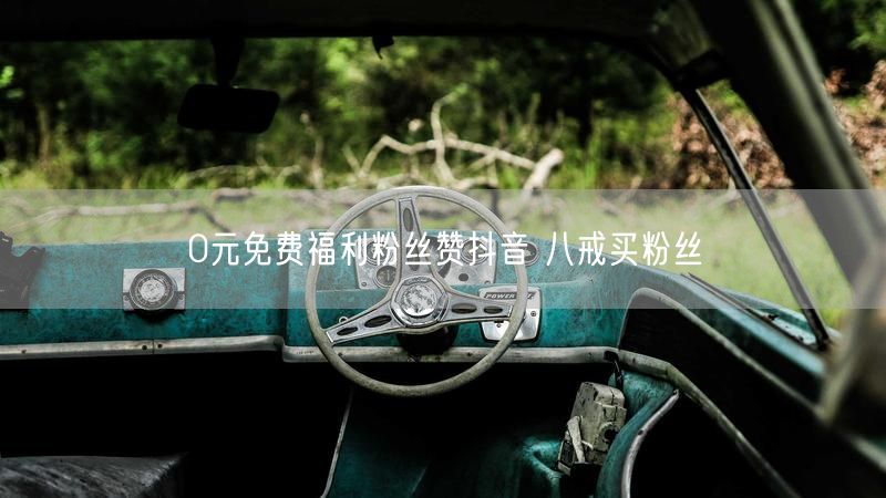 0元免费福利粉丝赞抖音 八戒买粉丝