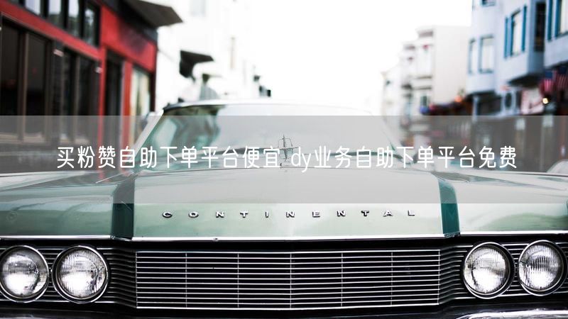 买粉赞自助下单平台便宜 dy业务自助下单平台免费