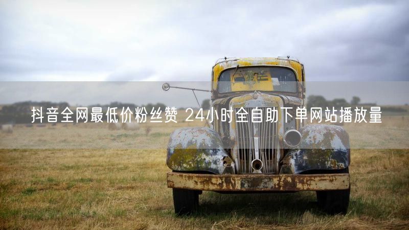 抖音全网最低价粉丝赞 24小时全自助下单网站播放量