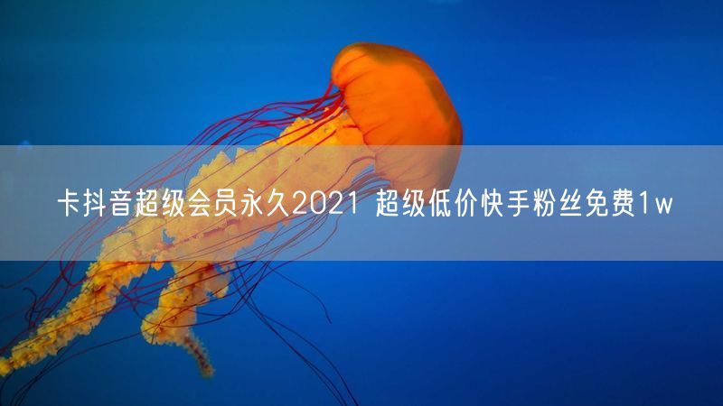 卡抖音超级会员永久2021 超级低价快手粉丝免费1w