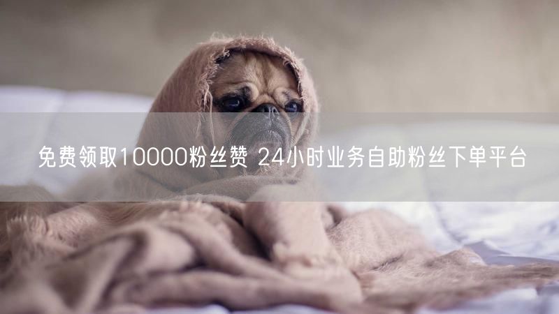 免费领取10000粉丝赞 24小时业务自助粉丝下单平台