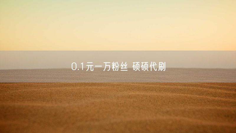 0.1元一万粉丝 硕硕代刷
