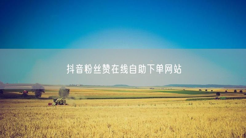 抖音粉丝赞在线自助下单网站