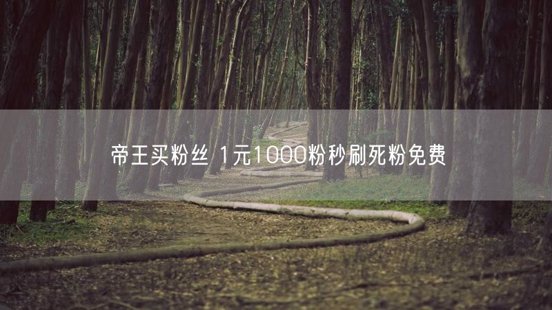 帝王买粉丝 1元1000粉秒刷死粉免费
