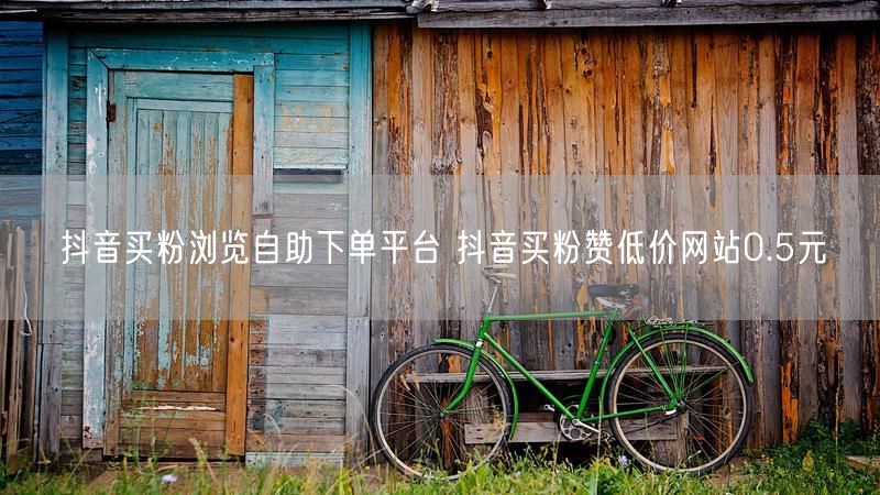 抖音买粉浏览自助下单平台 抖音买粉赞低价网站0.5元
