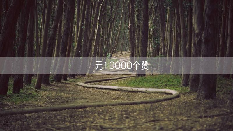 一元10000个赞
