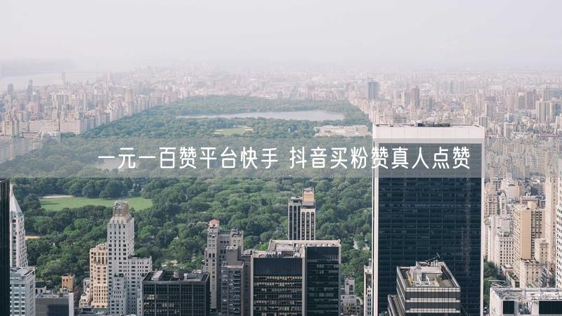 一元一百赞平台快手 抖音买粉赞真人点赞
