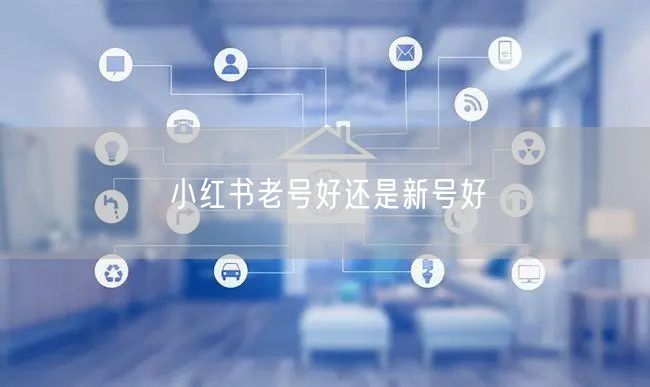 小红书老号好还是新号好