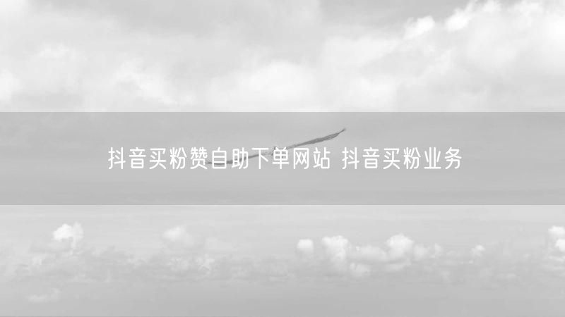 抖音买粉赞自助下单网站 抖音买粉业务
