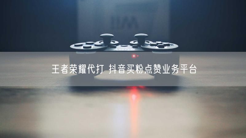 王者荣耀代打 抖音买粉点赞业务平台