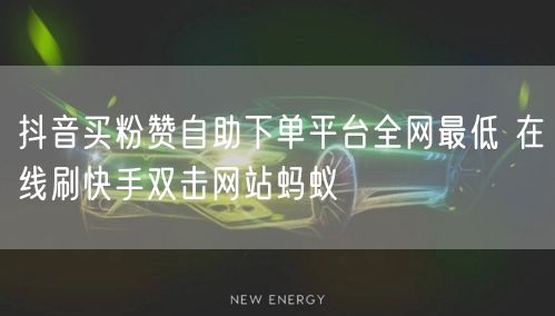 抖音买粉赞自助下单平台全网最低 在线刷快手双击网站蚂蚁