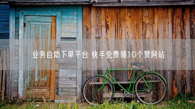 业务自助下单平台 快手免费领10个赞网站